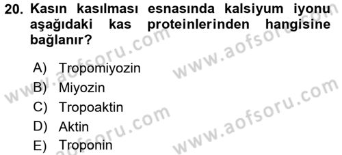 Temel Veteriner Fizyoloji Dersi 2016 - 2017 Yılı (Final) Dönem Sonu Sınav Soruları 20. Soru