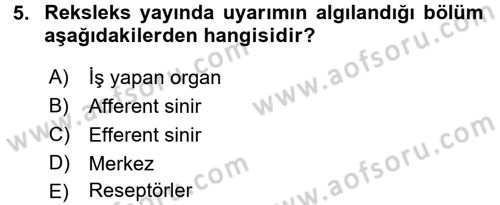 Temel Veteriner Fizyoloji Dersi 2016 - 2017 Yılı (Final) Dönem Sonu Sınav Soruları 5. Soru