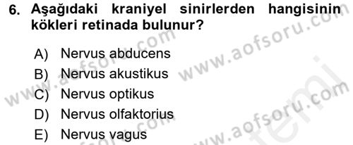 Temel Veteriner Fizyoloji Dersi 2016 - 2017 Yılı (Final) Dönem Sonu Sınav Soruları 6. Soru