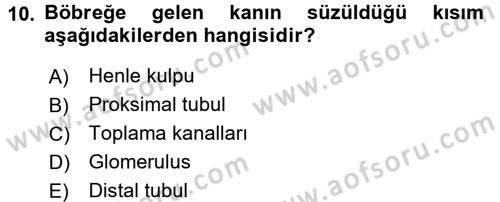 Temel Veteriner Fizyoloji Dersi 2017 - 2018 Yılı 3 Ders Sınav Soruları 10. Soru