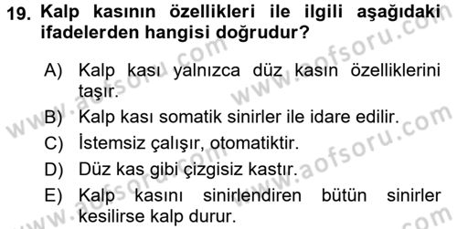 Temel Veteriner Fizyoloji Dersi 2017 - 2018 Yılı 3 Ders Sınav Soruları 19. Soru