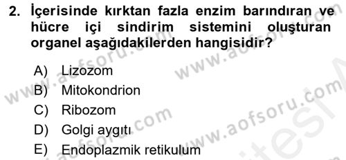 Temel Veteriner Fizyoloji Dersi 2017 - 2018 Yılı 3 Ders Sınav Soruları 2. Soru