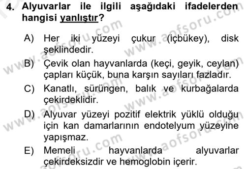 Temel Veteriner Fizyoloji Dersi 2017 - 2018 Yılı 3 Ders Sınav Soruları 4. Soru