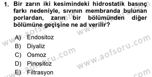 Temel Veteriner Fizyoloji Dersi 2017 - 2018 Yılı (Vize) Ara Sınavı 1. Soru