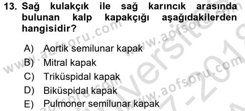 Temel Veteriner Fizyoloji Dersi 2017 - 2018 Yılı (Vize) Ara Sınavı 13. Soru