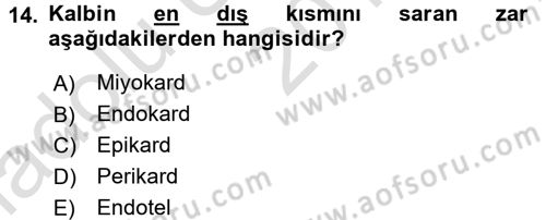 Temel Veteriner Fizyoloji Dersi 2017 - 2018 Yılı (Vize) Ara Sınav Soruları 14. Soru