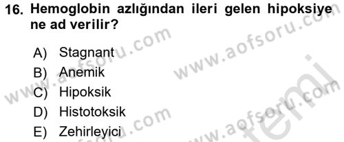 Temel Veteriner Fizyoloji Dersi 2017 - 2018 Yılı (Vize) Ara Sınavı 16. Soru