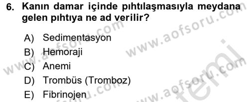 Temel Veteriner Fizyoloji Dersi 2017 - 2018 Yılı (Vize) Ara Sınavı 6. Soru