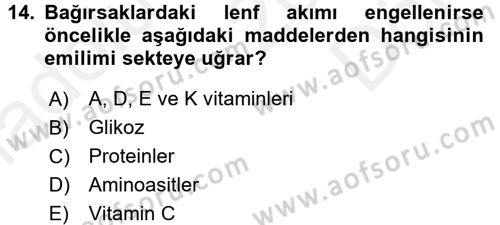 Temel Veteriner Fizyoloji Dersi 2017 - 2018 Yılı (Final) Dönem Sonu Sınavı 14. Soru