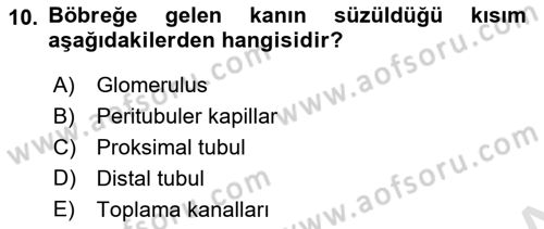 Temel Veteriner Fizyoloji Dersi 2018 - 2019 Yılı 3 Ders Sınav Soruları 10. Soru