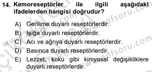 Temel Veteriner Fizyoloji Dersi 2018 - 2019 Yılı 3 Ders Sınav Soruları 14. Soru