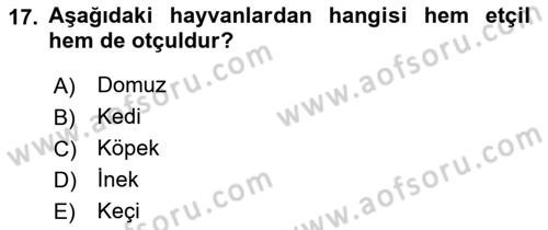 Temel Veteriner Fizyoloji Dersi 2018 - 2019 Yılı 3 Ders Sınav Soruları 17. Soru