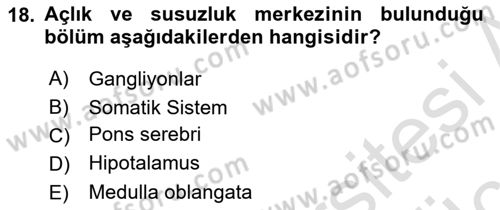 Temel Veteriner Fizyoloji Dersi 2018 - 2019 Yılı 3 Ders Sınav Soruları 18. Soru