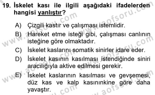 Temel Veteriner Fizyoloji Dersi 2018 - 2019 Yılı 3 Ders Sınav Soruları 19. Soru