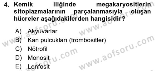 Temel Veteriner Fizyoloji Dersi 2018 - 2019 Yılı 3 Ders Sınav Soruları 4. Soru
