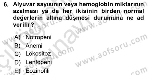 Temel Veteriner Fizyoloji Dersi 2018 - 2019 Yılı 3 Ders Sınav Soruları 6. Soru