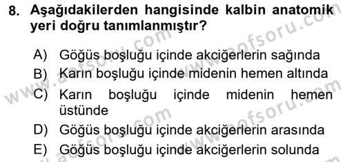 Temel Veteriner Fizyoloji Dersi 2018 - 2019 Yılı 3 Ders Sınav Soruları 8. Soru