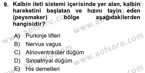 Temel Veteriner Fizyoloji Dersi 2018 - 2019 Yılı 3 Ders Sınav Soruları 9. Soru