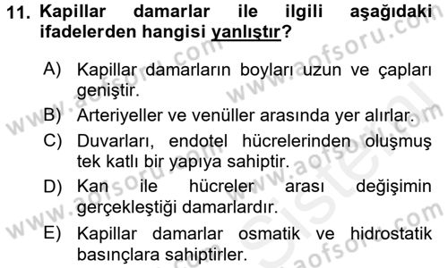 Temel Veteriner Fizyoloji Dersi 2018 - 2019 Yılı (Vize) Ara Sınav Soruları 11. Soru