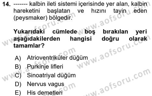 Temel Veteriner Fizyoloji Dersi 2018 - 2019 Yılı (Vize) Ara Sınav Soruları 14. Soru