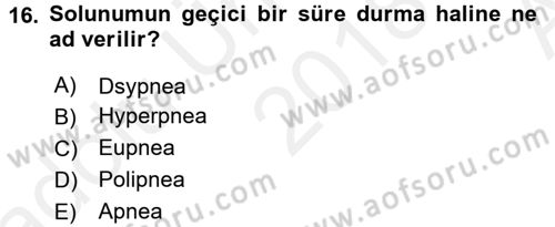 Temel Veteriner Fizyoloji Dersi 2018 - 2019 Yılı (Vize) Ara Sınav Soruları 16. Soru