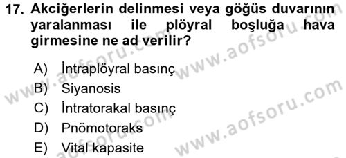 Temel Veteriner Fizyoloji Dersi 2018 - 2019 Yılı (Vize) Ara Sınav Soruları 17. Soru