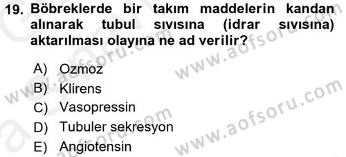 Temel Veteriner Fizyoloji Dersi 2018 - 2019 Yılı (Vize) Ara Sınavı 19. Soru