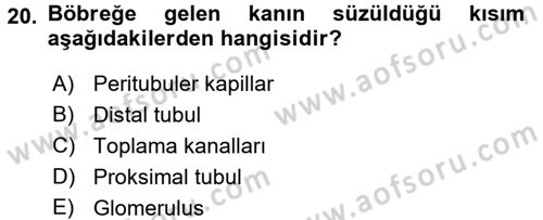 Temel Veteriner Fizyoloji Dersi 2018 - 2019 Yılı (Vize) Ara Sınavı 20. Soru