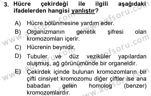 Temel Veteriner Fizyoloji Dersi 2018 - 2019 Yılı (Vize) Ara Sınav Soruları 3. Soru