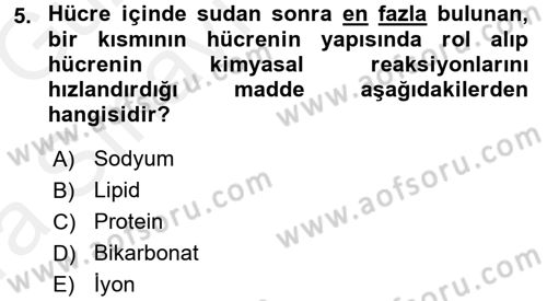 Temel Veteriner Fizyoloji Dersi 2018 - 2019 Yılı (Vize) Ara Sınav Soruları 5. Soru