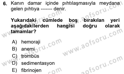 Temel Veteriner Fizyoloji Dersi 2018 - 2019 Yılı (Vize) Ara Sınav Soruları 6. Soru
