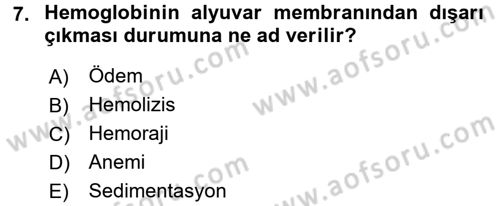 Temel Veteriner Fizyoloji Dersi 2018 - 2019 Yılı (Vize) Ara Sınavı 7. Soru