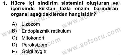 Temel Veteriner Fizyoloji Dersi 2018 - 2019 Yılı (Final) Dönem Sonu Sınavı 1. Soru