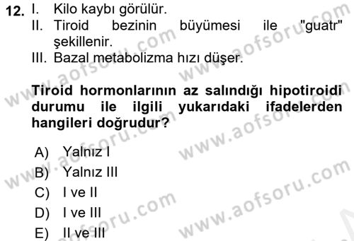 Temel Veteriner Fizyoloji Dersi 2018 - 2019 Yılı (Final) Dönem Sonu Sınavı 12. Soru