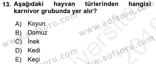 Temel Veteriner Fizyoloji Dersi 2018 - 2019 Yılı (Final) Dönem Sonu Sınav Soruları 13. Soru