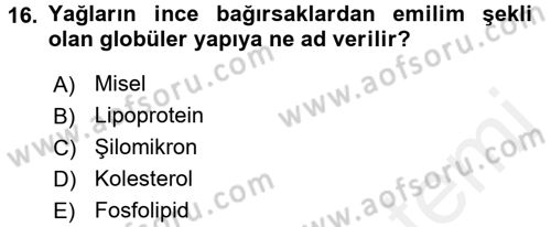 Temel Veteriner Fizyoloji Dersi 2018 - 2019 Yılı (Final) Dönem Sonu Sınavı 16. Soru