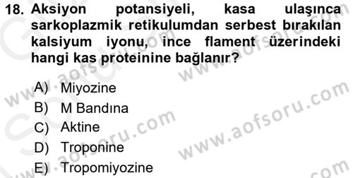 Temel Veteriner Fizyoloji Dersi 2018 - 2019 Yılı (Final) Dönem Sonu Sınav Soruları 18. Soru