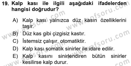 Temel Veteriner Fizyoloji Dersi 2018 - 2019 Yılı (Final) Dönem Sonu Sınavı 19. Soru