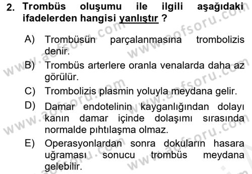 Temel Veteriner Fizyoloji Dersi 2018 - 2019 Yılı (Final) Dönem Sonu Sınav Soruları 2. Soru