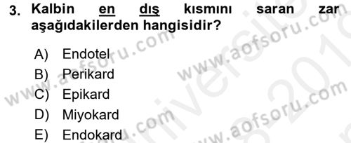 Temel Veteriner Fizyoloji Dersi 2018 - 2019 Yılı (Final) Dönem Sonu Sınav Soruları 3. Soru