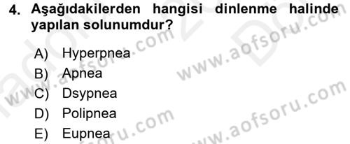 Temel Veteriner Fizyoloji Dersi 2018 - 2019 Yılı (Final) Dönem Sonu Sınav Soruları 4. Soru