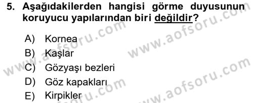 Temel Veteriner Fizyoloji Dersi 2018 - 2019 Yılı (Final) Dönem Sonu Sınav Soruları 5. Soru