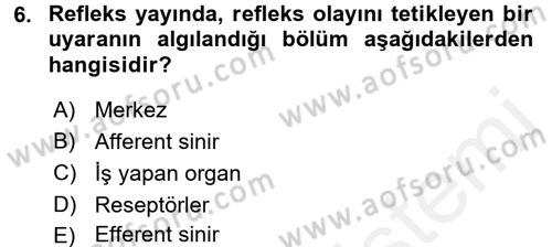 Temel Veteriner Fizyoloji Dersi 2018 - 2019 Yılı (Final) Dönem Sonu Sınav Soruları 6. Soru