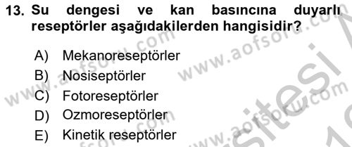 Temel Veteriner Fizyoloji Dersi 2018 - 2019 Yılı Yaz Okulu Sınavı 13. Soru