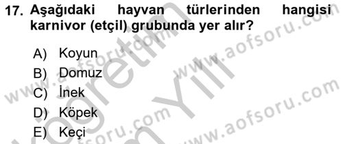 Temel Veteriner Fizyoloji Dersi 2018 - 2019 Yılı Yaz Okulu Sınav Soruları 17. Soru