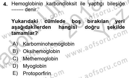 Temel Veteriner Fizyoloji Dersi 2018 - 2019 Yılı Yaz Okulu Sınav Soruları 4. Soru