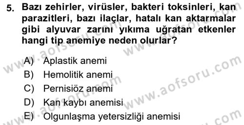 Temel Veteriner Fizyoloji Dersi 2018 - 2019 Yılı Yaz Okulu Sınav Soruları 5. Soru