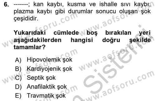 Temel Veteriner Fizyoloji Dersi 2018 - 2019 Yılı Yaz Okulu Sınavı 6. Soru