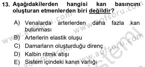 Temel Veteriner Fizyoloji Dersi 2019 - 2020 Yılı (Vize) Ara Sınav Soruları 13. Soru