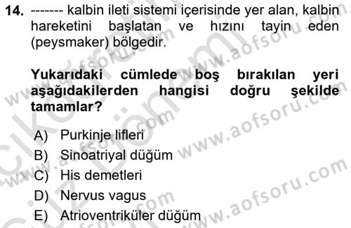 Temel Veteriner Fizyoloji Dersi 2019 - 2020 Yılı (Vize) Ara Sınav Soruları 14. Soru